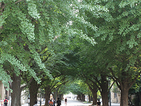 Obtaining Certificates of Student Status, Certificates of Graduation, and Transcripts